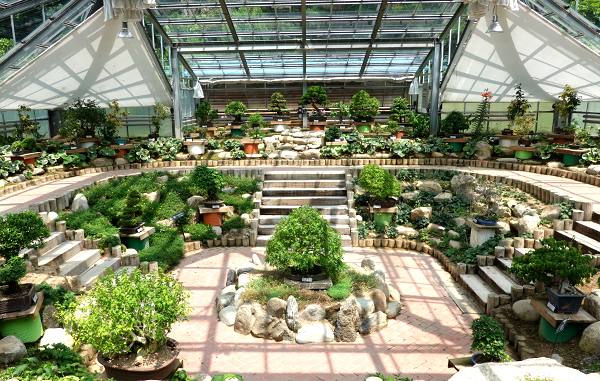 양구수목원 배경 이미지