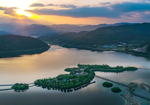 양구수목원 배경 이미지