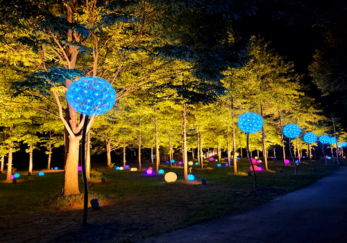 양구수목원 배경 이미지