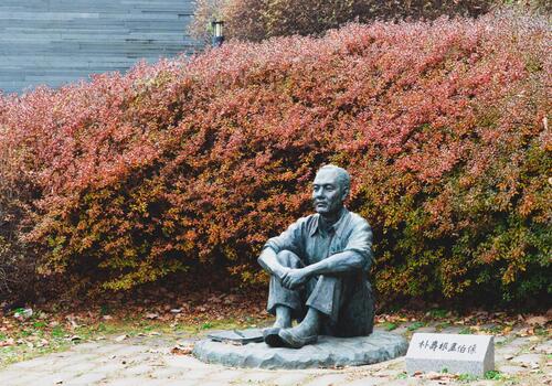 양구수목원 배경 이미지