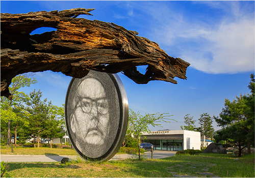 양구수목원 배경 이미지