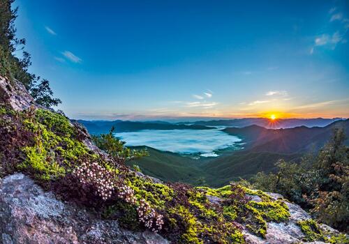 양구수목원 배경 이미지