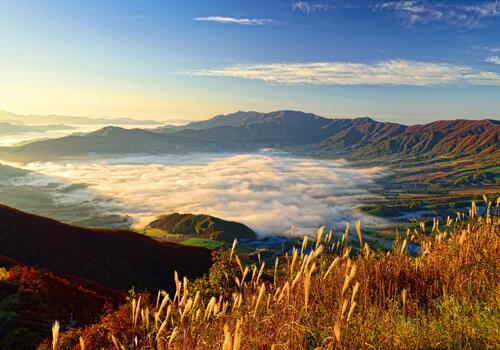 양구수목원 배경 이미지