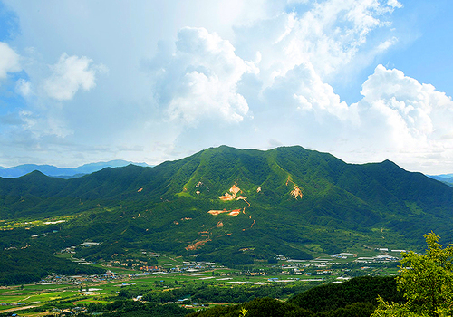 양구수목원 배경 이미지