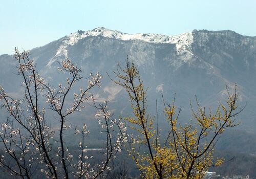 양구수목원 배경 이미지