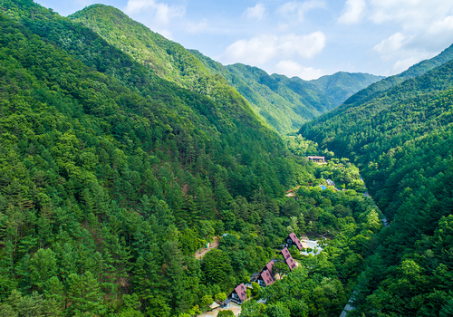 양구수목원 배경 이미지