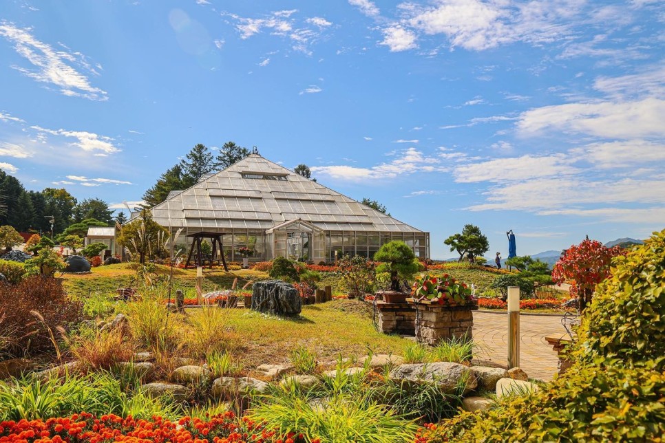 양구수목원 배경 이미지