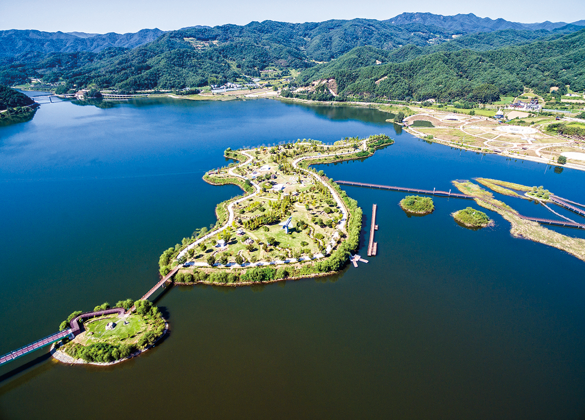 양구수목원 배경 이미지