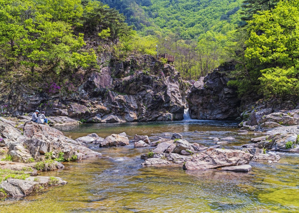 양구수목원 배경 이미지