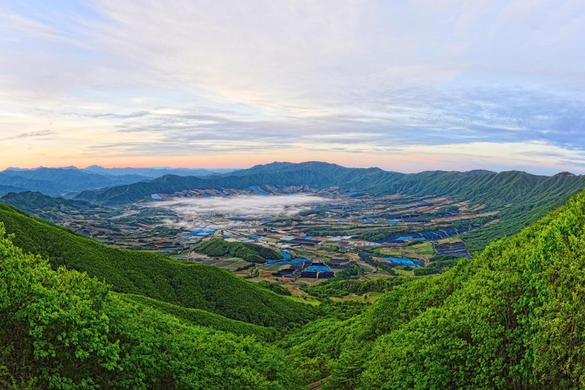 양구수목원 배경 이미지