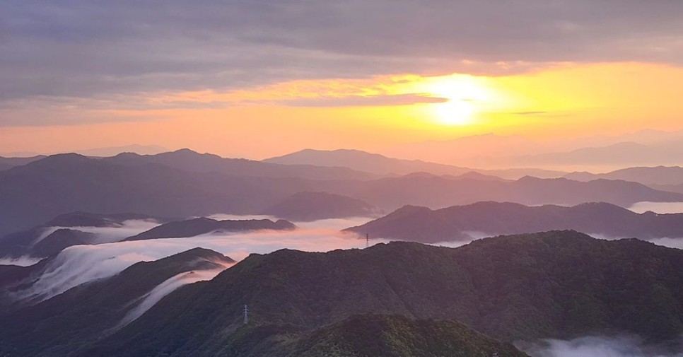 양구수목원 배경 이미지