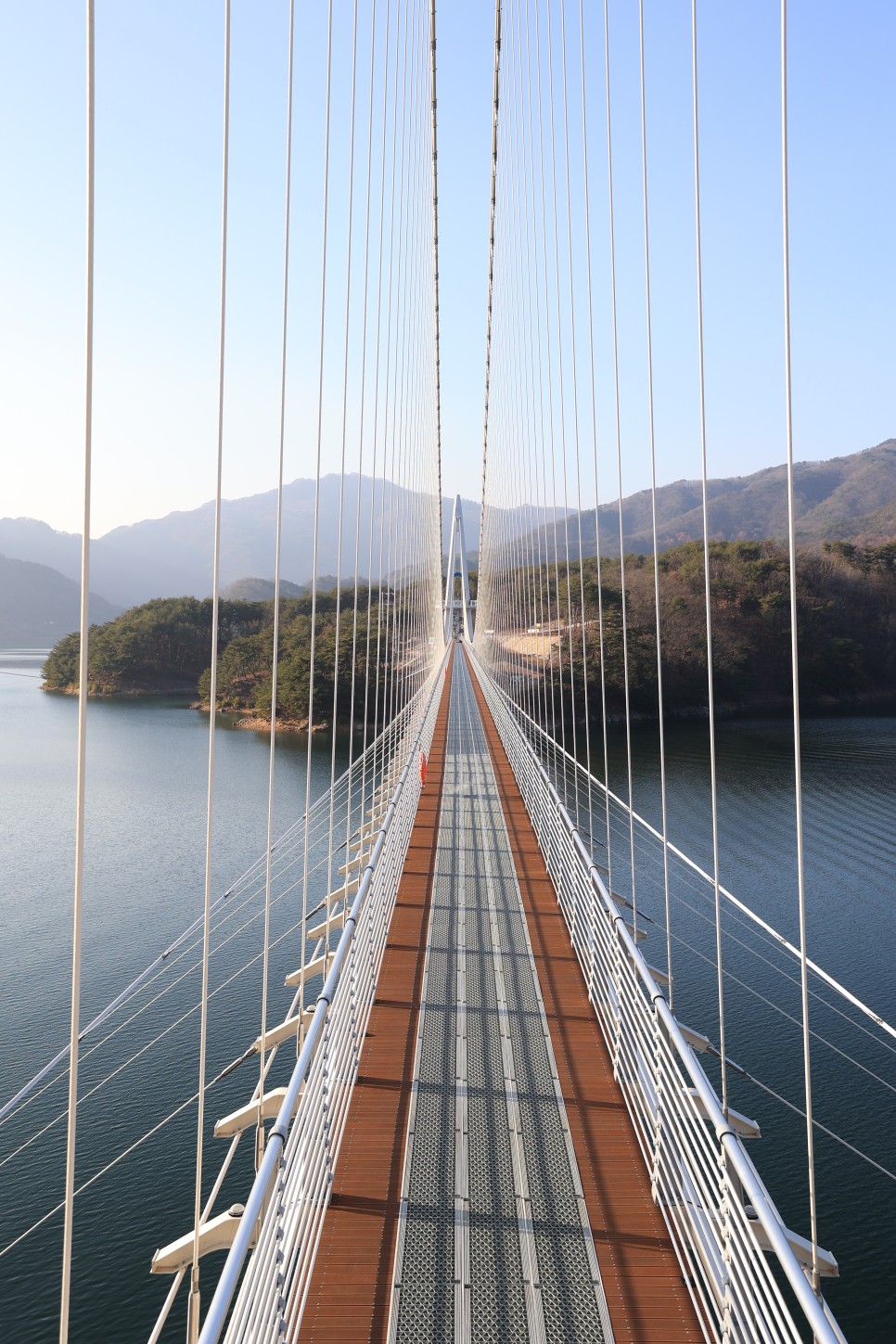 양구수목원 배경 이미지