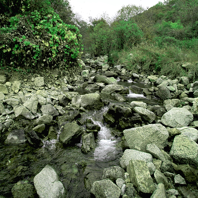 양구수목원 배경 이미지