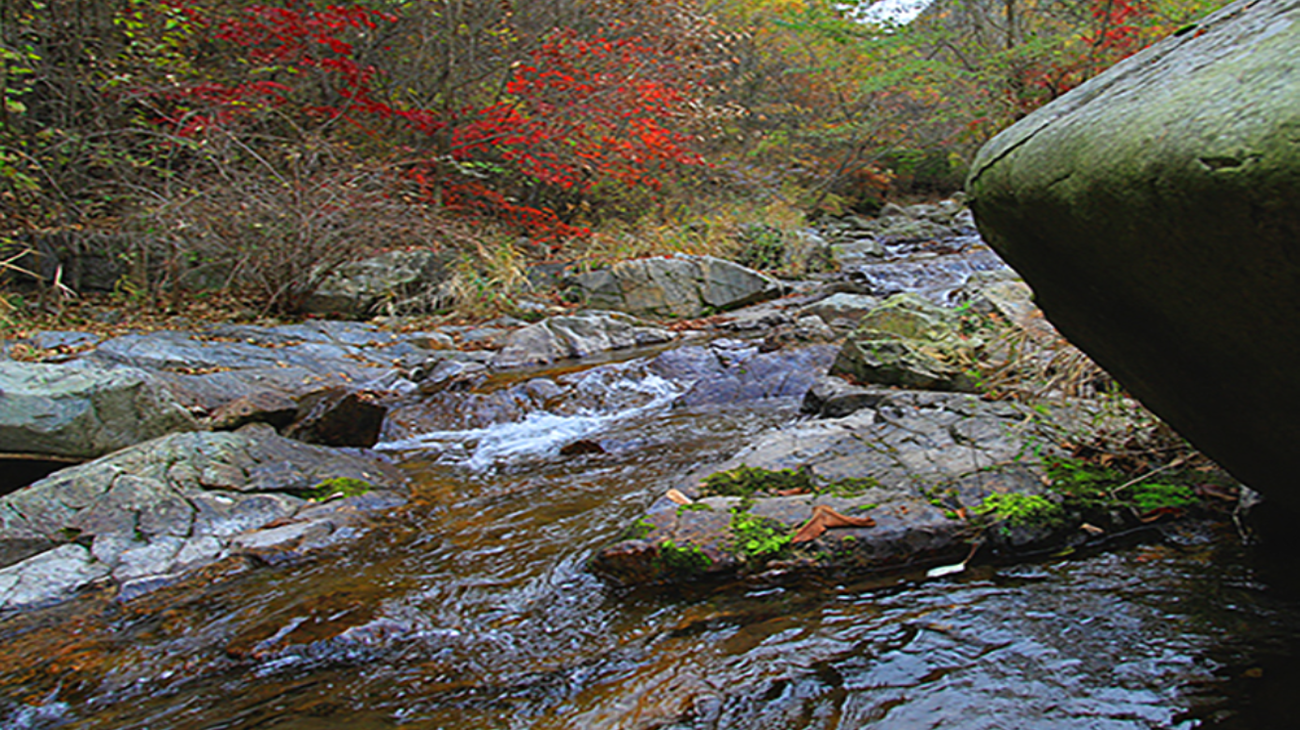 광치계곡 이미지