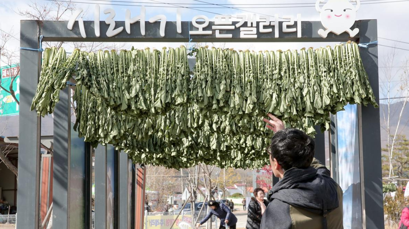 펀치볼 시래기 사과축제 이미지
