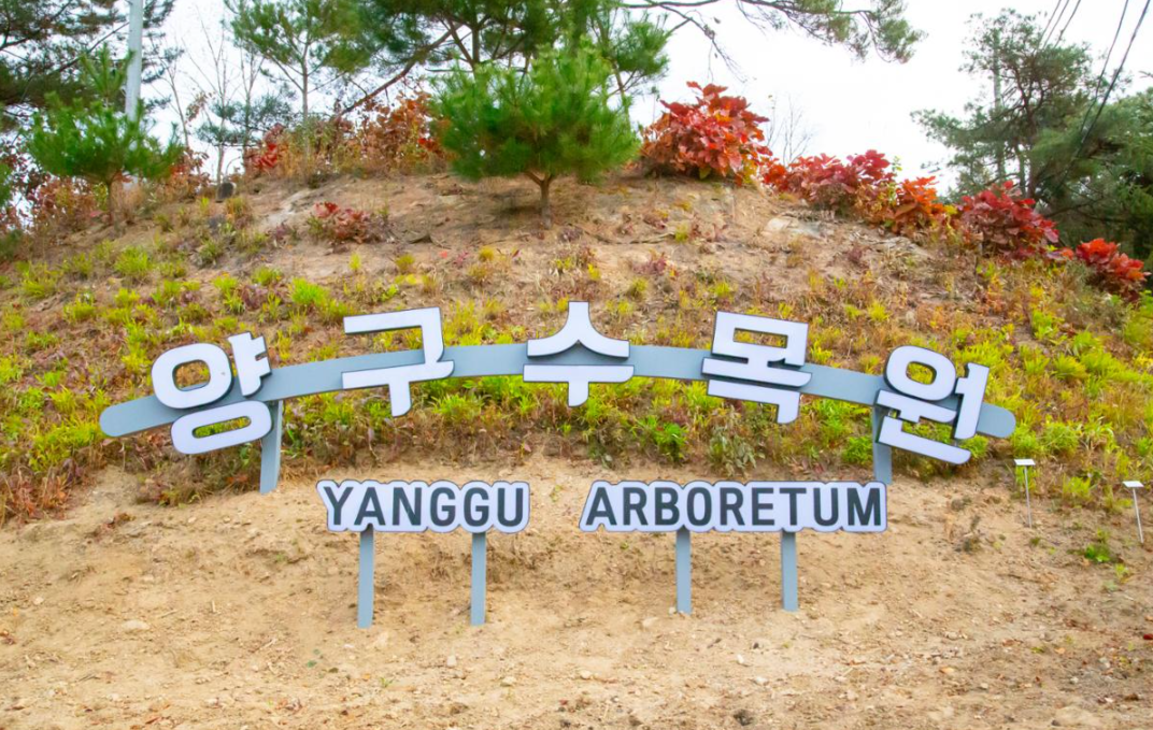 양구수목원 이미지